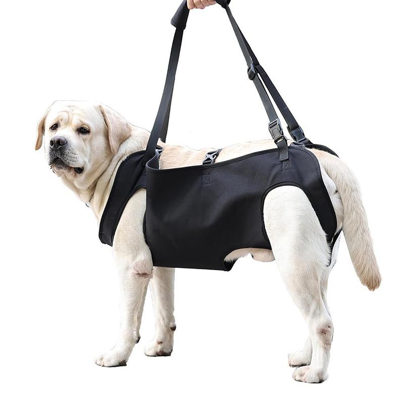 Harness Climbing Adjustable - Ремень-поддержка для собак на лестнице, регулируемый