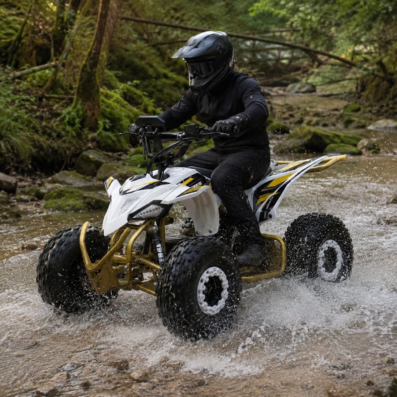 Outdoor Adventure Quad Biking - Внедорожный квадроцикл для взрослых, кастомизированный, четырехколесный,