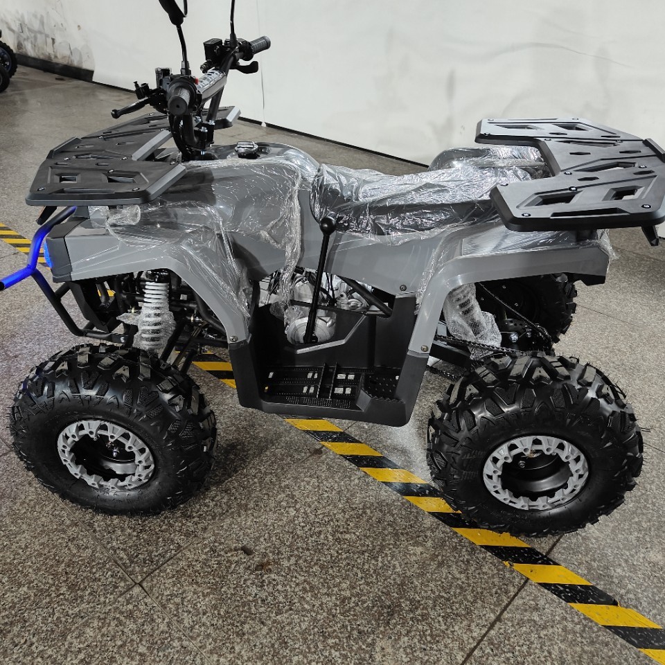 Квадроцикл 125 куб. см, Вездех – обзор и цена Outdoor Adventure Quad Biking