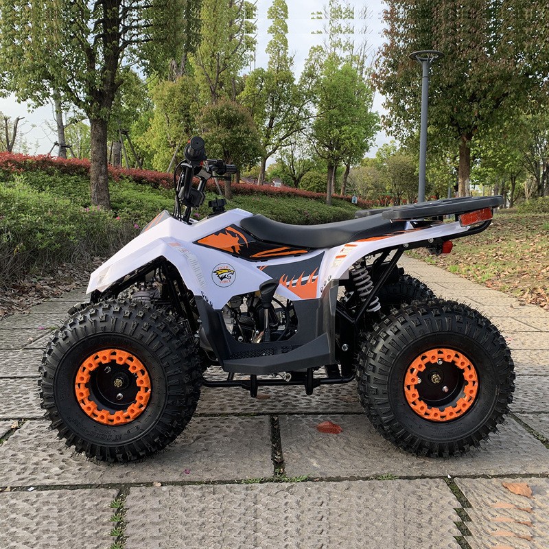 Квадроцикл 125CC, малогабаритн – обзор и цена Outdoor Adventure Quad Biking