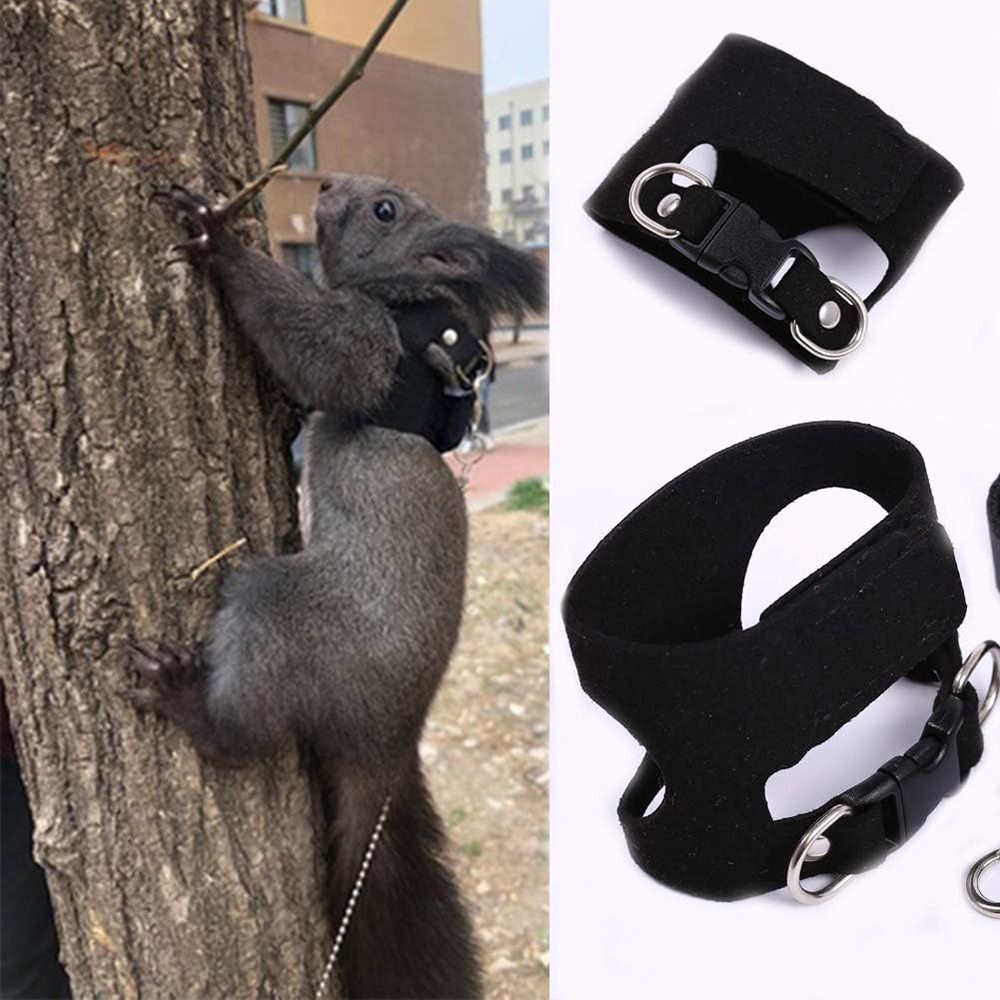Регулируемый комплект шлейки и – обзор и цена Harness Climbing Adjustable