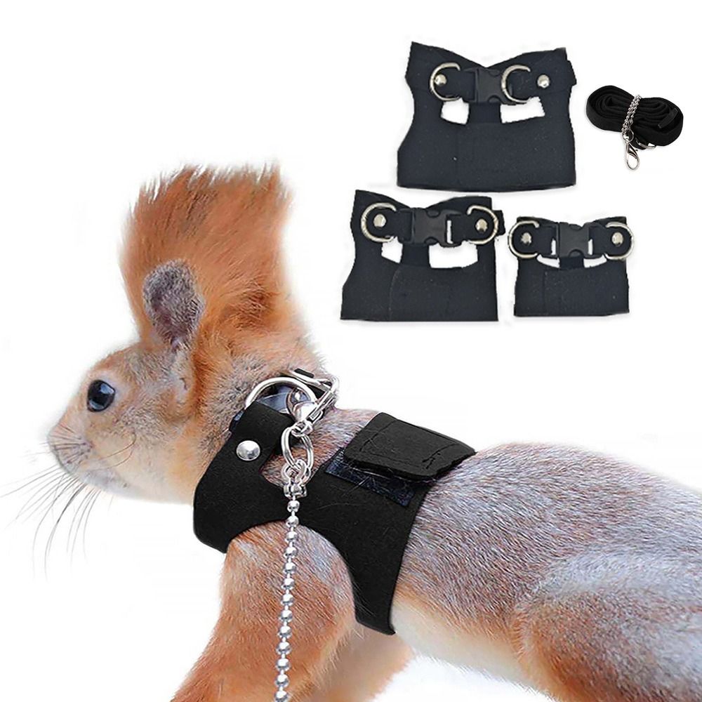 Регулируемый комплект шлейки и – обзор и цена Harness Climbing Adjustable