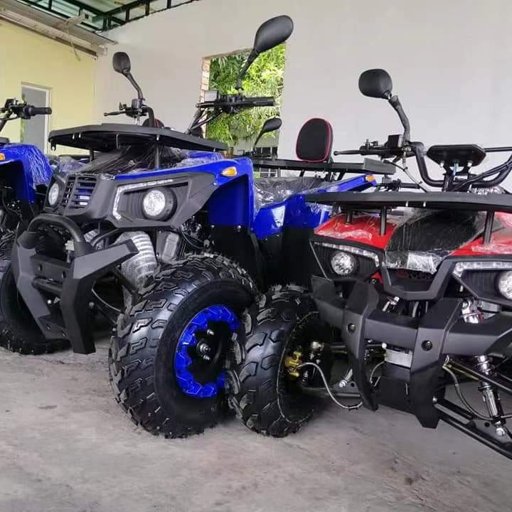 Вездеходный багги для песка 20 – обзор и цена Outdoor Adventure Quad Biking